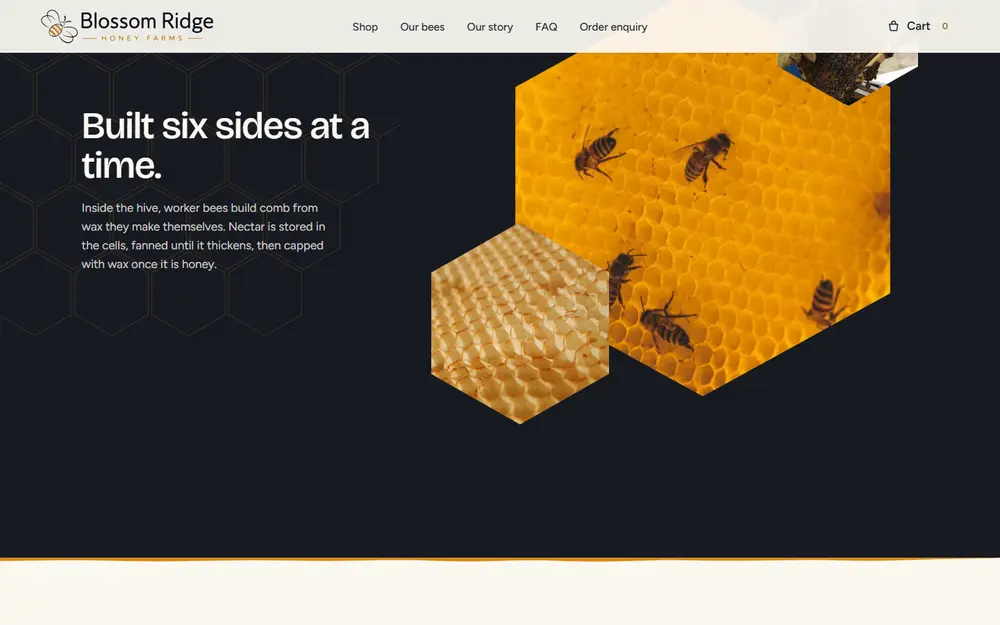 Built six sides at a time: honeycomb with bees on a dark section